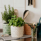 BLOOMY Flower Pot