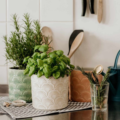 BLOOMY Flower Pot