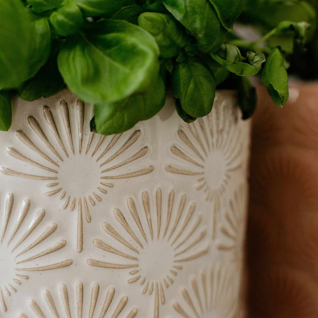 BLOOMY Flower Pot