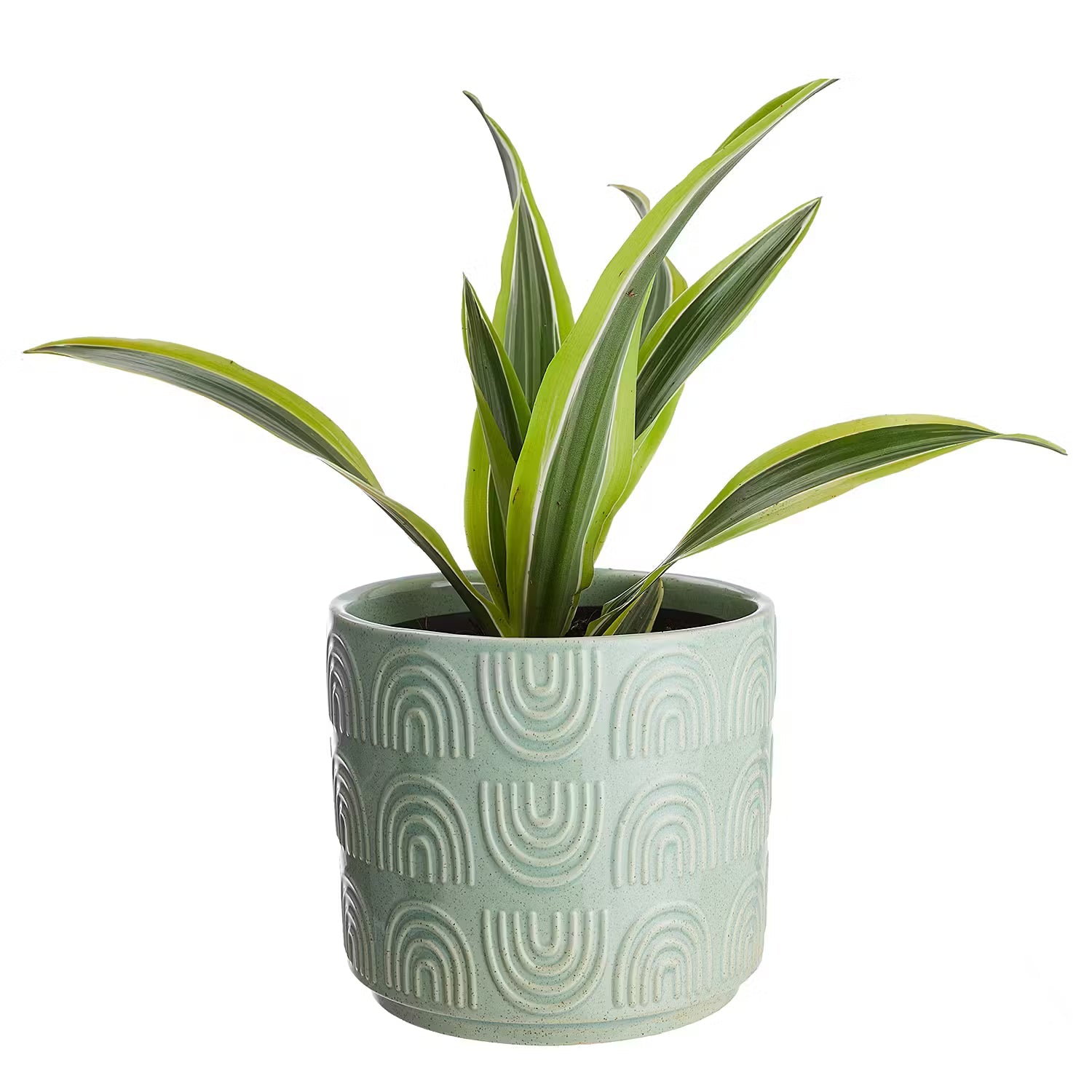 RAINBOW Planter