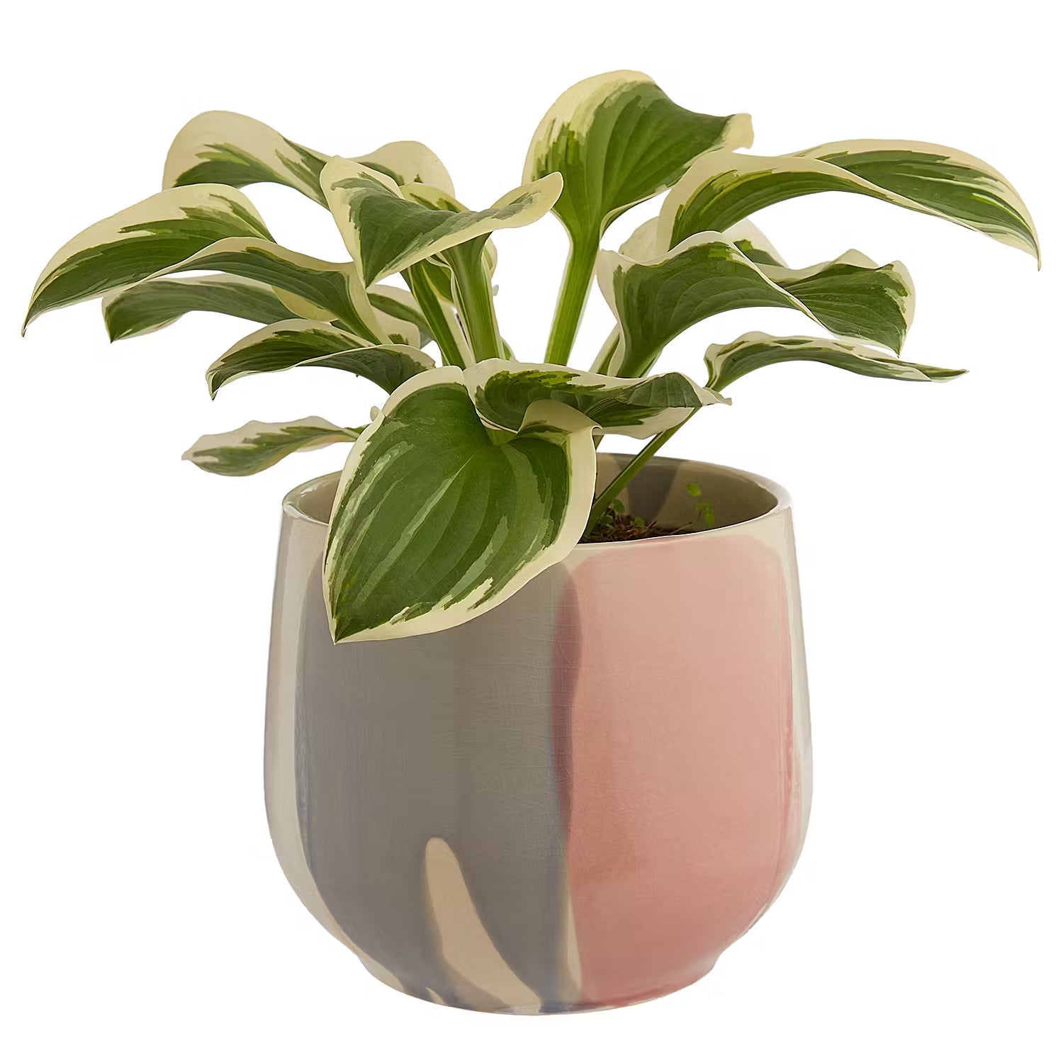 SINTRA Flower Pot Cover