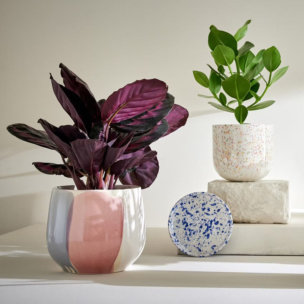 SINTRA Flower Pot Cover