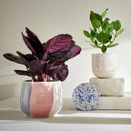SINTRA Flower Pot Cover