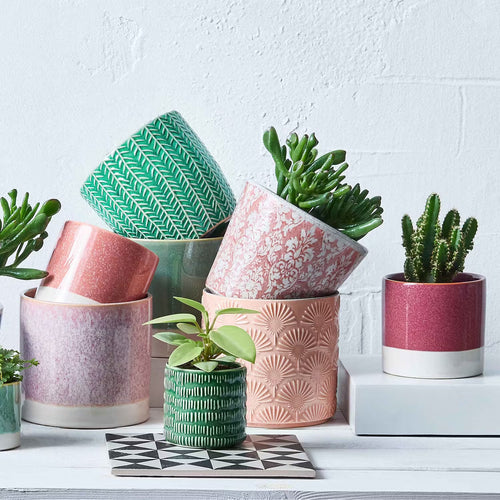 Early Spring 6-Piece Flower Pot Set