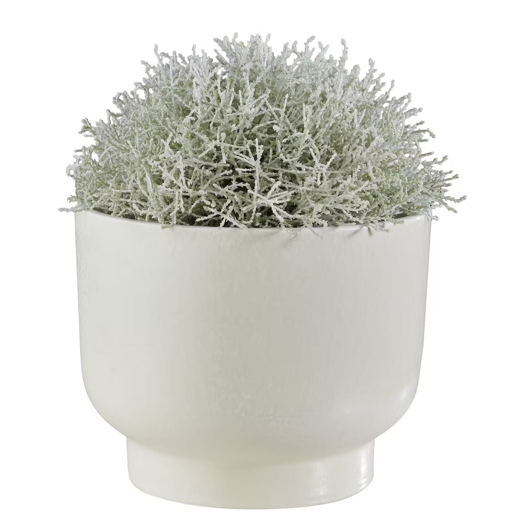 PLANT BOWL Flowerpot