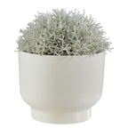 PLANT BOWL Flowerpot