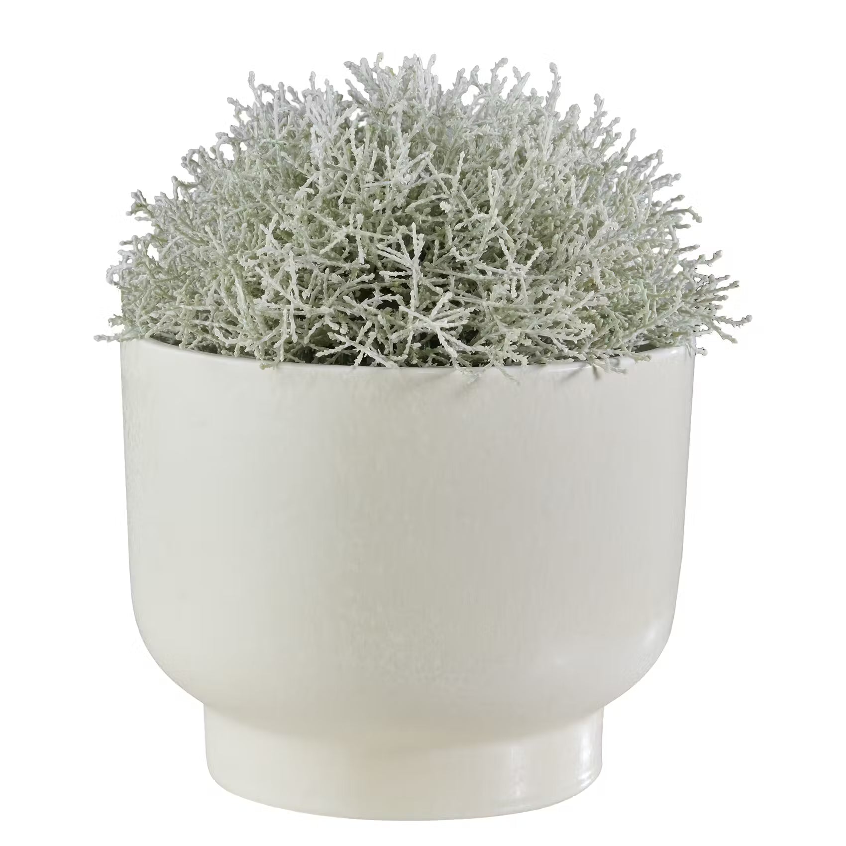 PLANT BOWL Flowerpot