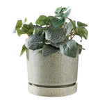 PLANT planter with saucer