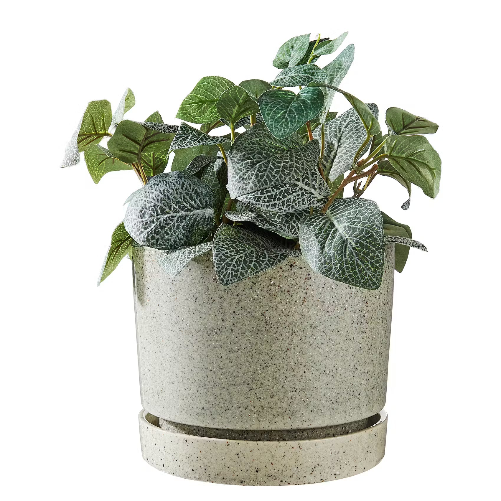 PLANT planter with saucer