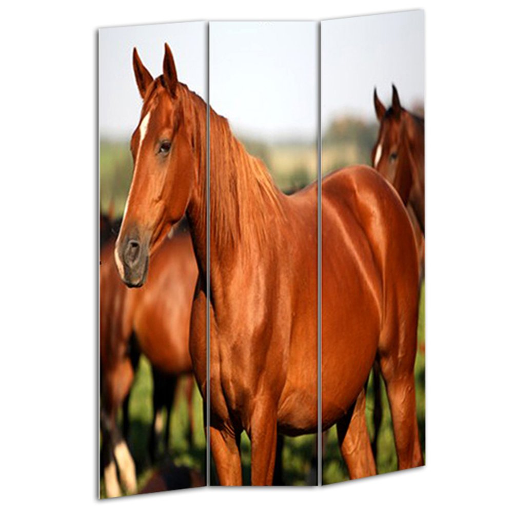 Brown and White Canvas Folding Three Panel Screen Room Divider - 72-inch