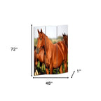 Brown and White Canvas Folding Three Panel Screen Room Divider - 72-inch