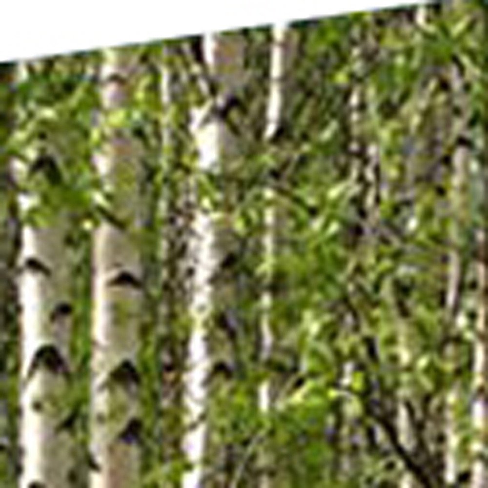 Green Canvas Folding Four Panel Screen Room Divider - 84-inch