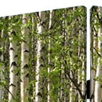 Green Canvas Folding Four Panel Screen Room Divider - 84-inch