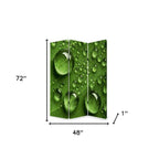Green Canvas Folding Three Panel Screen Room Divider - 72-inch