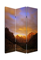 Brown Canvas Folding Three Panel Screen Room Divider - 72-inch