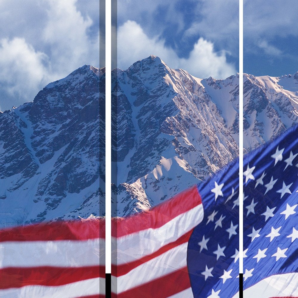 Red White and Blue American Flag Reversible Canvas Folding Three Panel Room Divider