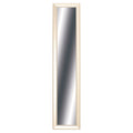 Champagne Gold Framed Accent Mirror - 32-inch