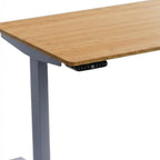 Adjustable Brown and Gray Stainless Steel Computer Desk - 48-inch