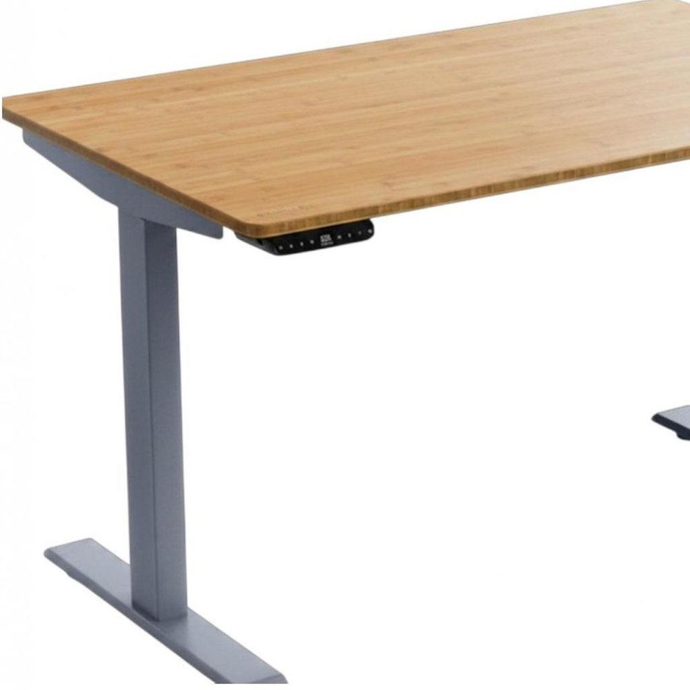 Adjustable Brown and Gray Stainless Steel Computer Desk - 48-inch