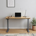 Adjustable Brown and Gray Stainless Steel Computer Desk - 48-inch