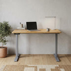 Adjustable Brown and Gray Stainless Steel Computer Desk - 48-inch