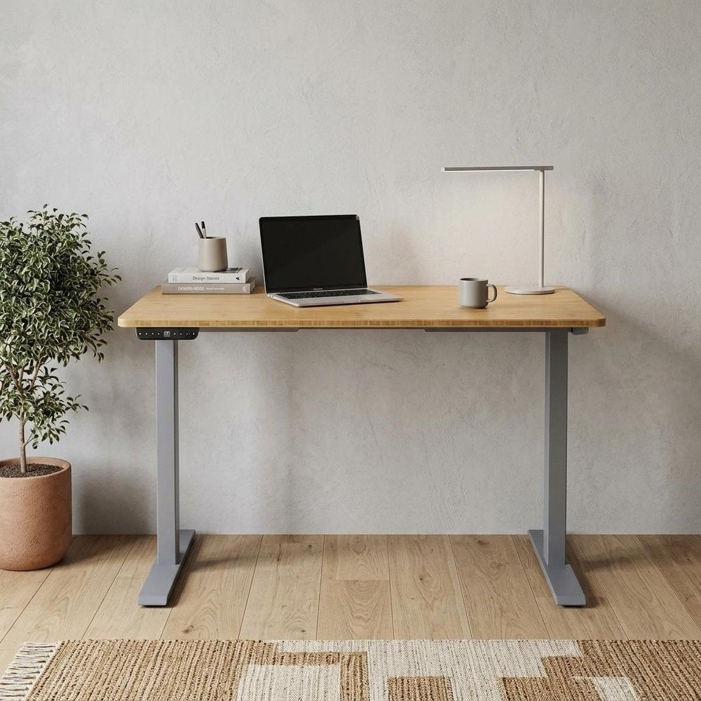 Adjustable Brown and Gray Stainless Steel Computer Desk - 48-inch