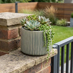 Green Striped Ceramic Indoor Outdoor Round Pot Planter - 6-inch