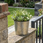 Gray Recycled Plastic Indoor Outdoor Round Pot Planter - 6-inch