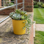 Yellow Recycled Plastic Indoor Outdoor Round Pot Planter - 5-inch