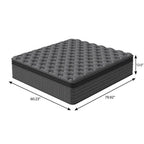 Queen Lumbar Support Memory Foam Hybrid Mattress - 12-inch