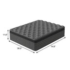 Queen Lumbar Support Memory Foam Hybrid Mattress - 12-inch