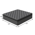 Queen Lumbar Support Memory Foam Hybrid Mattress - 12-inch